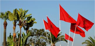 المغرب: تنظيم النسخة الرابعة للملتقى الجهوي للبيئة