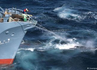 انطلاق اسطول اليابان لصيد الحيتان رغم الاستياء الدولي