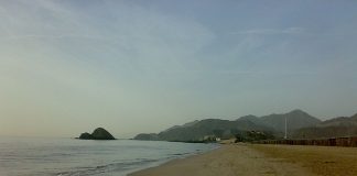 بيئة الإمارات تطلق برنامجاً لمراقبة البحر والساحل