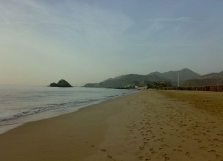 بيئة الإمارات تطلق برنامجاً لمراقبة البحر والساحل