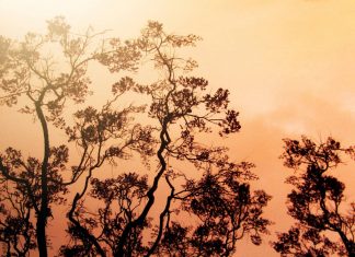 إخماد حرائق إندونيسيا