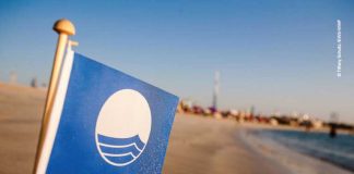 مركز البيئة للمدن العربية ممثلاً وطنياً لبرنامج العلم الأزرق