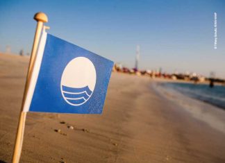 مركز البيئة للمدن العربية ممثلاً وطنياً لبرنامج العلم الأزرق