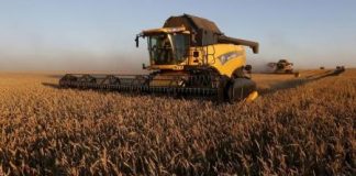 تجريف التربة يزيد من المخاطر المحدقة بالإنتاج الغذائي