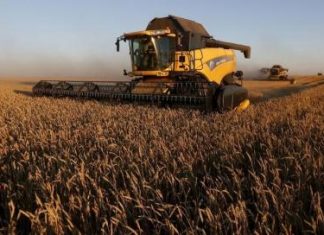 تجريف التربة يزيد من المخاطر المحدقة بالإنتاج الغذائي