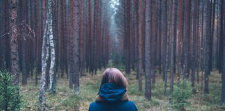 باريس وخفض الانبعاثات الناجمة عن إزالة الغابات