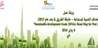 ورشة عمل عن أهداف التنمية المستدامة لما بعد 2015