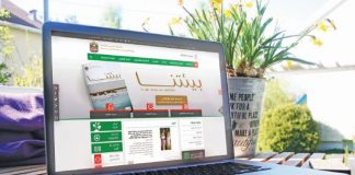 وزارات البيئة العربية في عصر الإنترنت