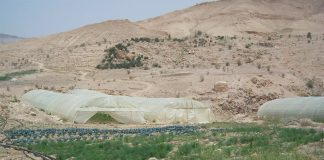 حماية الطبيعة والتنوع الحيوي أهم سبب في بقاء البشرية