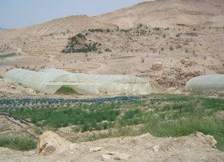 حماية الطبيعة والتنوع الحيوي أهم سبب في بقاء البشرية