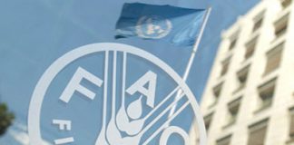 اتفاقية شراكة بين منظمة الفاو والمغرب في مجال البيئة