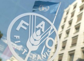 منح جامعية للمهندسين الزراعيين لمتابعة الدراسة في المجر