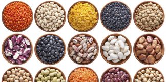 الأمم المتحدة تعلن 2016 السنة الدولية للبقول