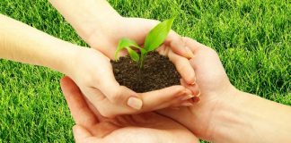 الزعامة من أجل الاستدامة