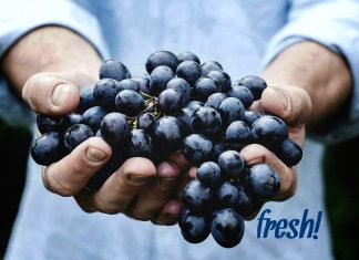 إطعام مجتمع به خلل