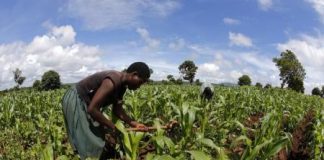 الجفاف قد يؤثر على 49 مليون شخص في دول جنوب افريقيا