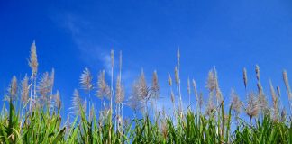 الأمن الطاقي الداخلي لأوروبا