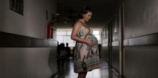 مخاوف من انتشار فيروس زيكا بين النساء الحوامل في البرازيل