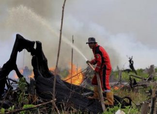 إقليم إندونيسي يعلن حالة الطوارئ بسبب حرائق الغابات