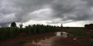 هيئة الأرصاد الأمريكية تتوقع تتابع ظاهرتي النينيو والنينيا