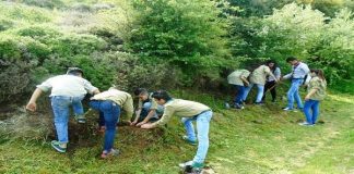 “كشافة البيئة” اللبنانية تنظم حملة تشجير في جبل عكار