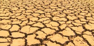 مخاوف من مجاعة جنوب القارة الأفريقية