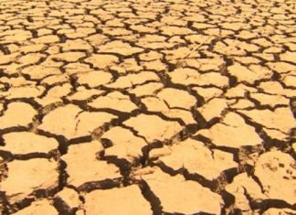 مخاوف من مجاعة جنوب القارة الأفريقية