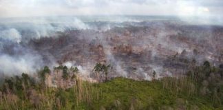 تغير المناخ يؤثر على زيادة معدلات الوفيات والمشاكل الصحية