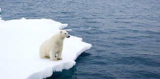 دراسة: ذوبان الجليد يدفع بالقطب الشمالي نحو لندن