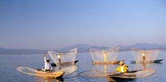 الأمم المتحدة تسلط الضوء على دور التنوع البيولوجي لتثبيت دعائم التنمية