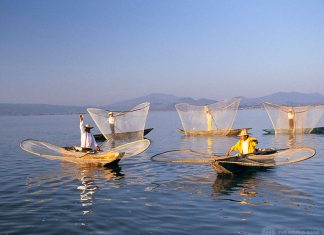 الأمم المتحدة تسلط الضوء على دور التنوع البيولوجي لتثبيت دعائم التنمية