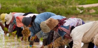 معضلة المياه في آسيا بنكهة عالمية