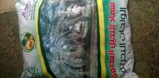 بيئة مصر: تحويل مخلفات نخيل الواحات البحرية لـ”سماد عضوي”