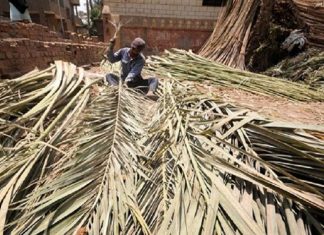 بيئة مصر: إنتاج سماد عضوي من المخلفات الزراعية للنخيل