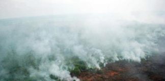 سنغافورة تناشد إندونيسيا إمدادها بمعلومات عن مسببي التلوث