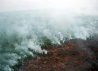 سنغافورة تناشد إندونيسيا إمدادها بمعلومات عن مسببي التلوث