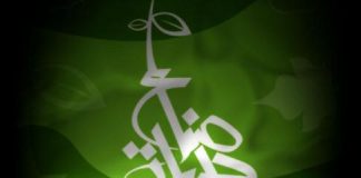 “صناع الحياة” المصرية تفوز بأفضل مبادرة بيئية