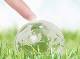 «الأخلاقيات البيئية» ضرورة لتحقيق التنمية المتوازنة