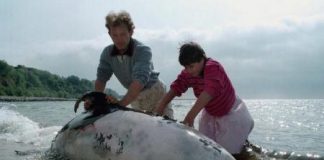 رصد عدد قياسي من الدلافين النافقة على ساحل البحر الأسود في بلغاريا