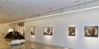 فنان ياباني يعرض أعماله في الدوحة للتوعية بقضايا البيئة