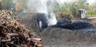 “بيئة” مصر تدرس إغلاق مكامير الفحم