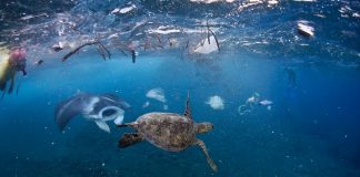 حرارة المحيطات ترتفع بدرجة أسرع من المتوقع