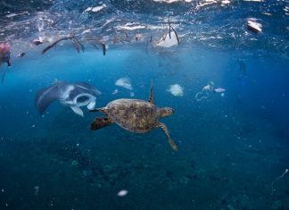 درجة حرارة المحيطات تثير قلق العلماء