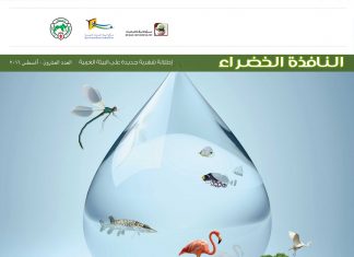 العدد العشرون من نشرة “النافذة الخضراء”