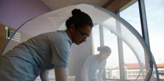 تايلاند تعلن اكتشاف 21 حالة إصابة جديدة بفيروس زيكا