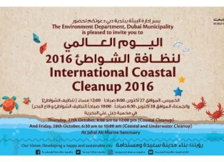 بلدية دبي تنظم الفعالية الدولية لتنظيف الشواطئ للعام 2016