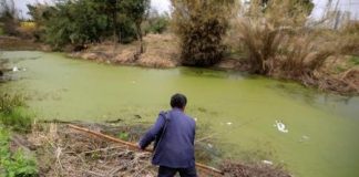 الصين تحرز تقدما في مكافحة الضباب الدخاني لكن جودة المياه تتدهور