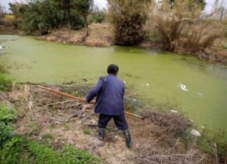 الصين تحرز تقدما في مكافحة الضباب الدخاني لكن جودة المياه تتدهور