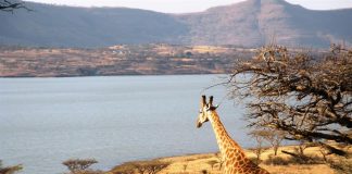 طيران الإمارات تمول ثلاث منظمات بيئية من عائدات تدوير نفاياتها