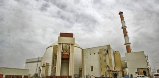 دعوة عربية لاستكمال دراسات التأثير البيئي لمفاعلي “ديمونه ” و”بوشهر”